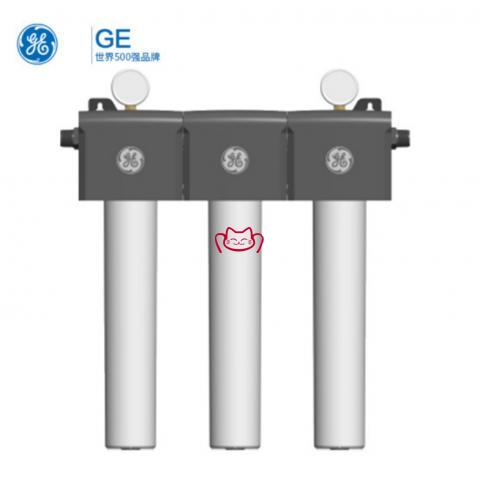 GE   EFC3-25  三頭商用大流量活性炭...