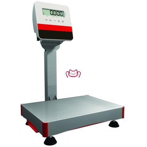 MALLARD FERRIERE  30257 ...