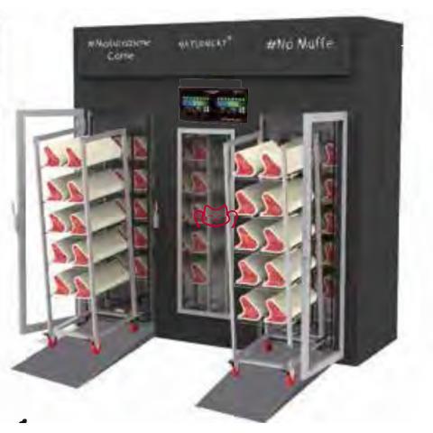 STAGIONELLO  MEAT  CURIN...