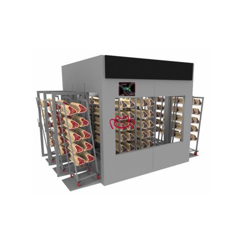 STAGIONELLO MEAT CURING ...